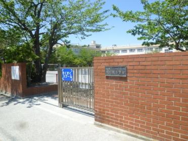 江戸川区立大杉東小学校：873m