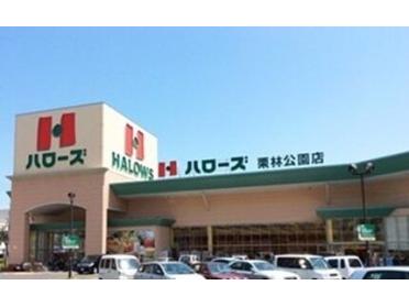 ハローズ栗林公園店：300m