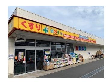 どらっぐぱぱす練馬田柄店：633m