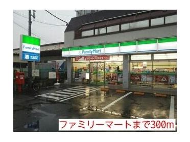 ファミリーマート：300m