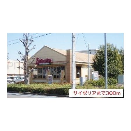 サイゼリア：300m