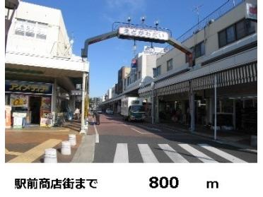 江戸川台商店街：800m