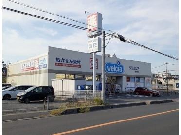 ウエルシア　東大宮店：650m