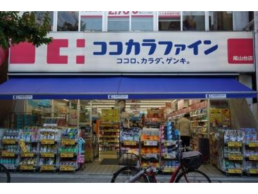 ココカラファイン尾山台店：185m