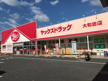 ヤックスドラッグ大和田店：106m