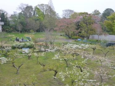 立川公園：1507m