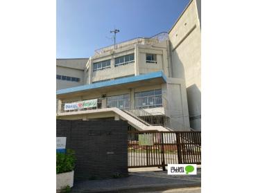 市川市立幸小学校：631m