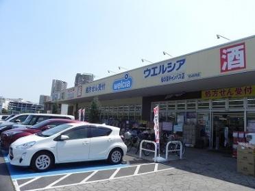 ウエルシア柏の葉キャンパス店：1200m