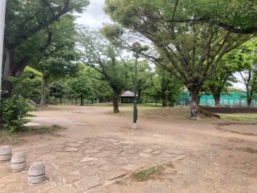 平和の森公園：1153m