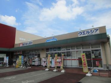 ウエルシア春日部武里店：668m