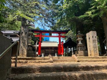 大谷場氷川神社ふるさとの森：807m