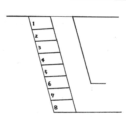 小笠原駐車場（0003） 間取り図画像