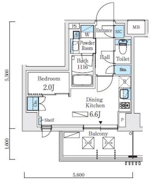 リビオメゾン東北沢（506） 間取り図画像
