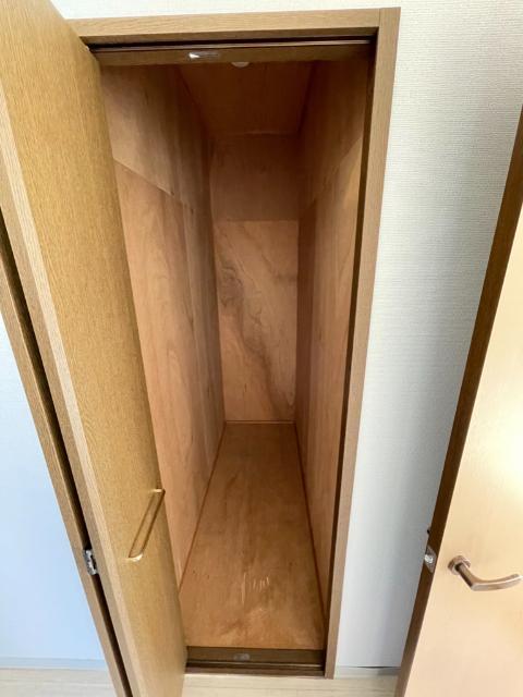 アレスルーチェ（0308） 収納