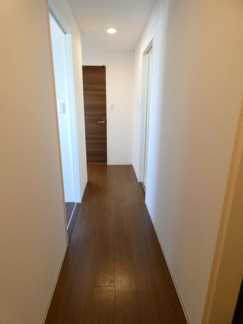 セルティス（0703） その他