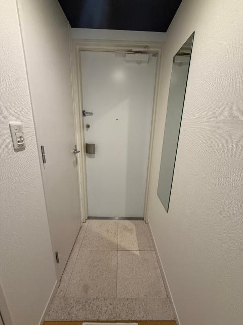 プロシード山下公園ザ・タワー（0601） 玄関