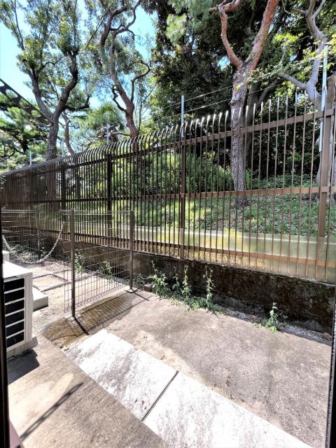 Ｍａｉｓｏｎｅｎ　Ｔｅｒｒａｓｓｅ雅（0107） 部屋画像