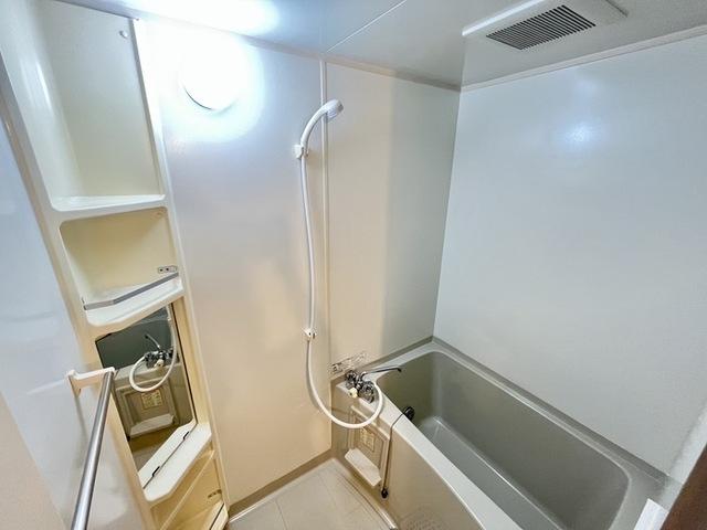 ドルチェ　Ａ・Ｂ（A101） 部屋画像