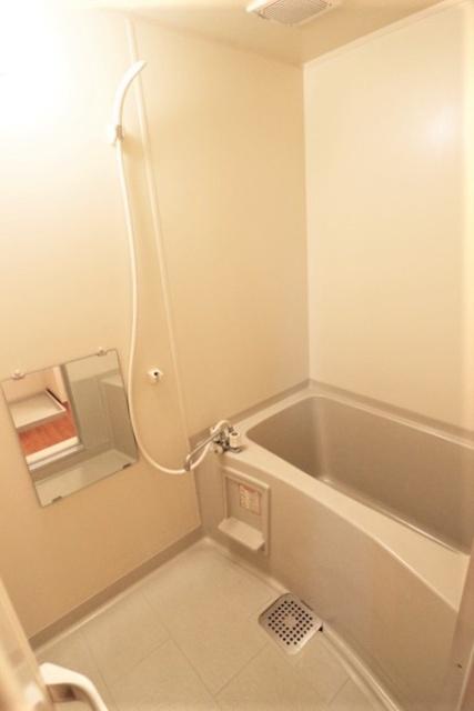 セレニティーホームズ　Ｂ（305） 部屋画像
