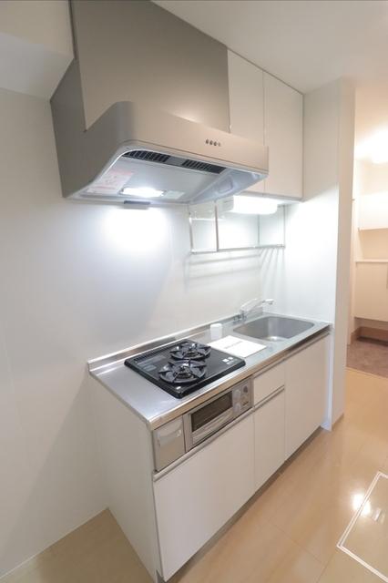 エルミタージュ　Ⅱ（101） 部屋画像