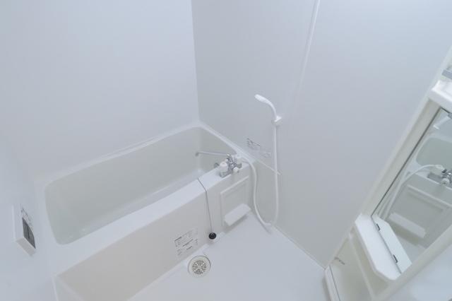エルミタージュ　Ⅱ（101） 部屋画像