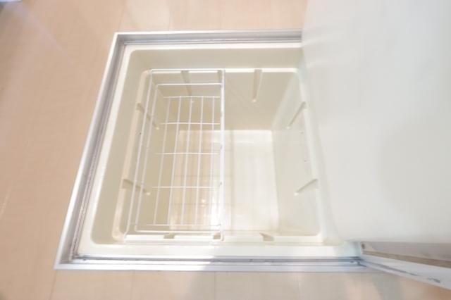 エルミタージュ　Ⅱ（101） 部屋画像
