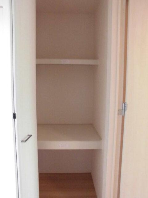 ﾛｲｼﾞｪﾝﾄﾊﾟｰｸｽ ﾚｲｸﾀｳﾝ　Ｑ（305） 部屋画像