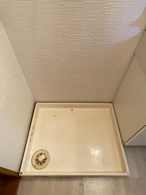 テネレッツァ（0203） その他