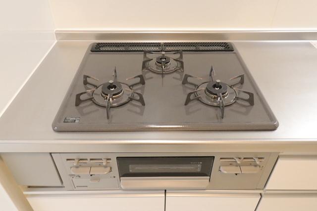 ﾛｲｼﾞｪﾝﾄﾊﾟｰｸｽ ﾚｲｸﾀｳﾝ　Ｃ（203） 部屋画像