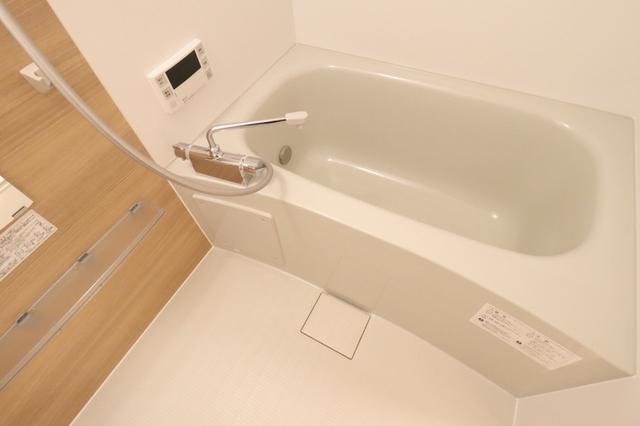 ﾛｲｼﾞｪﾝﾄﾊﾟｰｸｽ ﾚｲｸﾀｳﾝ　Ｃ（203） 部屋画像