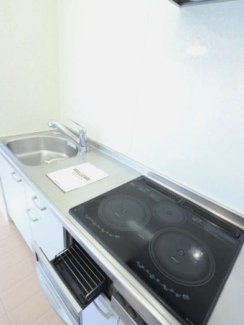 プラシデス　Ｂ棟（105） 部屋画像