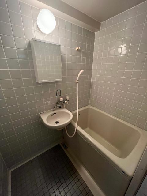 マンション・ストリーム（0205） バス／シャワー