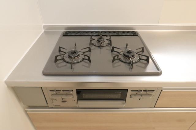 ﾛｲｼﾞｪﾝﾄﾊﾟｰｸｽ ﾚｲｸﾀｳﾝ Ⅲ　Ｅ（106） 部屋画像