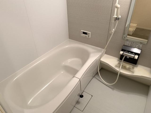 イルソーレ吉川美南　アランチャ（102） 部屋画像