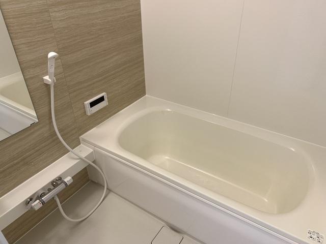 ﾛｲｼﾞｪﾝﾄﾊﾟｰｸｽ ﾚｲｸﾀｳﾝ Ⅱ　A（107） 部屋画像
