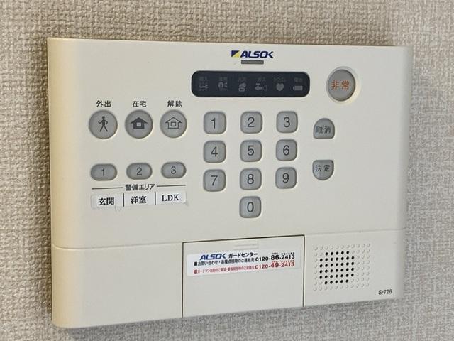 ﾛｲｼﾞｪﾝﾄﾊﾟｰｸｽ ﾚｲｸﾀｳﾝ Ⅱ　A（107） 部屋画像