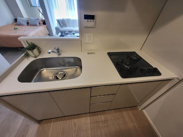 ＡＩＦＬＡＴ四谷若葉（0502） 部屋画像