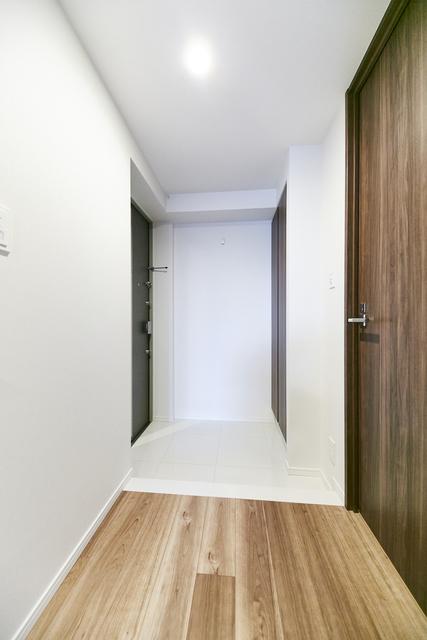 ベルファース錦糸町Ｓｏｕｔｈ（805） 部屋画像