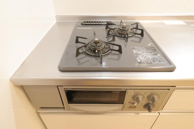 ﾛｲｼﾞｪﾝﾄﾊﾟｰｸｽ ﾚｲｸﾀｳﾝ　Ｋ（101） 部屋画像