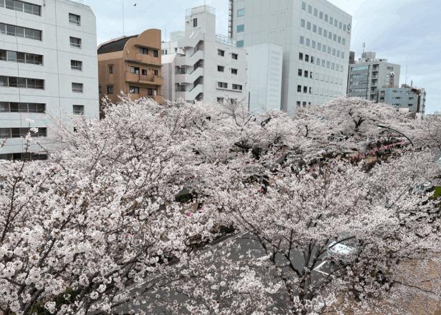 メゾン小石川（402） 部屋画像