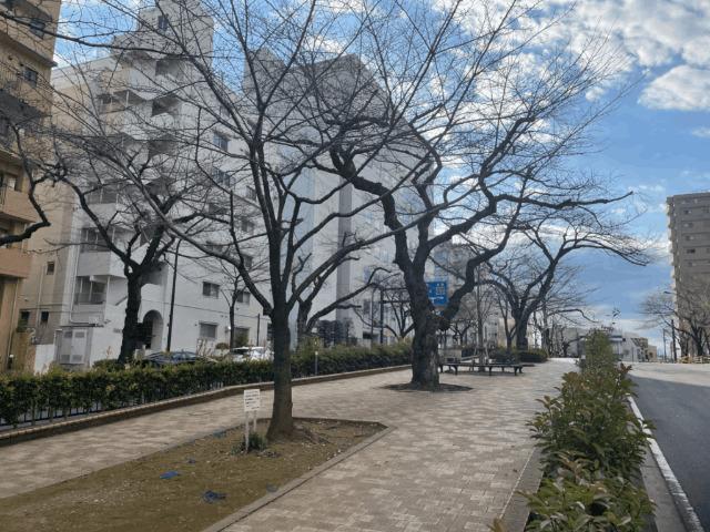 メゾン小石川（402） 部屋画像