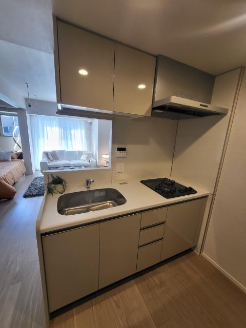 ＡＩＦＬＡＴ四谷若葉（0502） 部屋画像