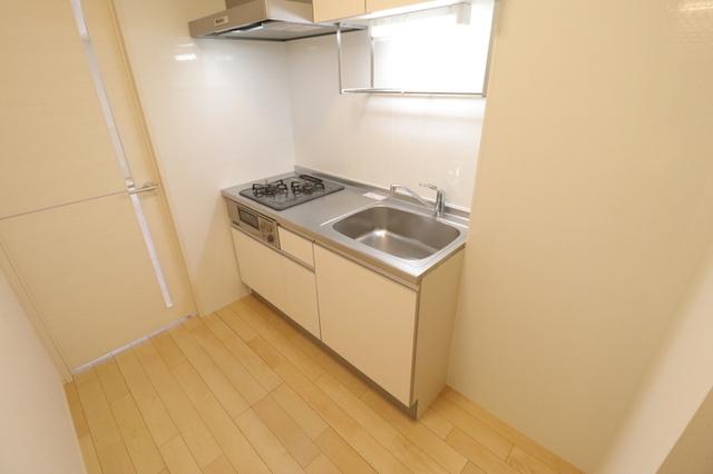 ﾛｲｼﾞｪﾝﾄﾊﾟｰｸｽ ﾚｲｸﾀｳﾝ　Ｋ（101） 部屋画像
