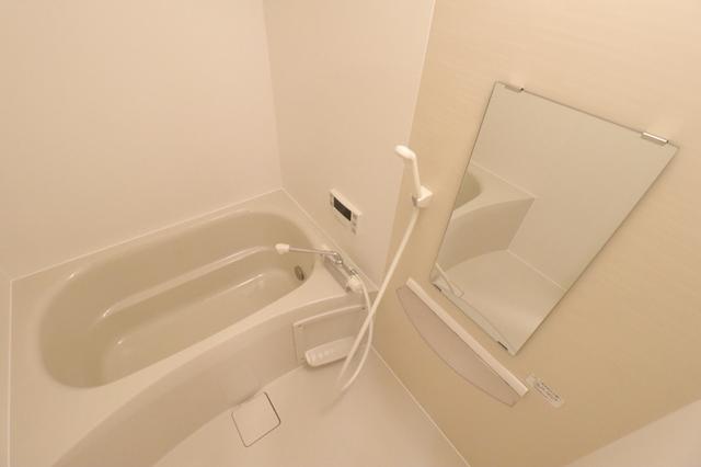 ﾛｲｼﾞｪﾝﾄﾊﾟｰｸｽ ﾚｲｸﾀｳﾝ　Ｋ（101） 部屋画像