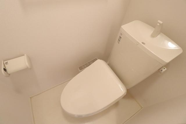 ﾛｲｼﾞｪﾝﾄﾊﾟｰｸｽ ﾚｲｸﾀｳﾝ　Ｋ（101） 部屋画像