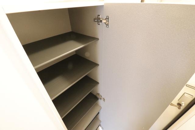 ﾛｲｼﾞｪﾝﾄﾊﾟｰｸｽ ﾚｲｸﾀｳﾝ　Ｋ（101） 部屋画像