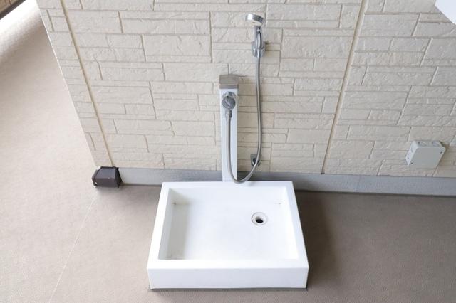 ﾛｲｼﾞｪﾝﾄﾊﾟｰｸｽ ﾚｲｸﾀｳﾝ　Ｋ（101） 部屋画像