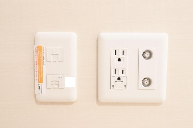 ﾛｲｼﾞｪﾝﾄﾊﾟｰｸｽ ﾚｲｸﾀｳﾝ　Ｋ（101） 部屋画像