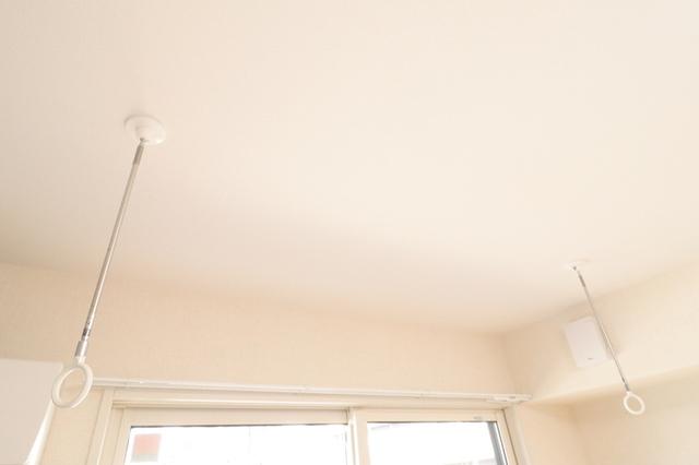 ﾛｲｼﾞｪﾝﾄﾊﾟｰｸｽ ﾚｲｸﾀｳﾝ　Ｋ（101） 部屋画像