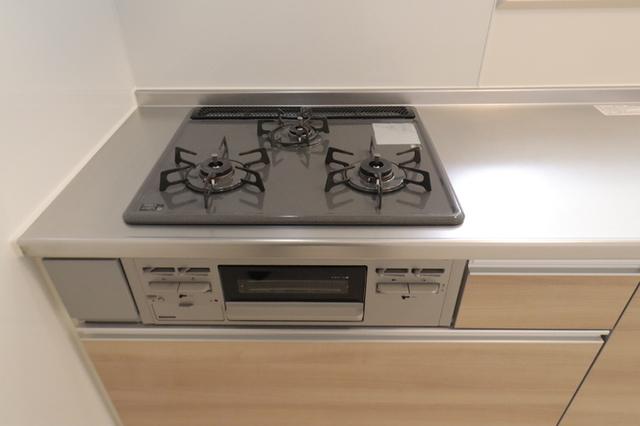 ﾛｲｼﾞｪﾝﾄﾊﾟｰｸｽ ﾚｲｸﾀｳﾝ Ⅲ　Ｍ（201） 部屋画像